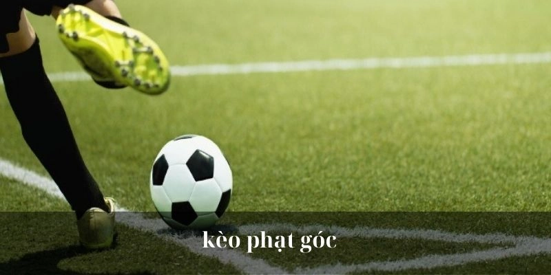 Tìm hiểu về kèo phạt góc trong bóng đá