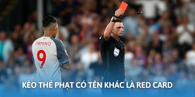 Một vài thông tin giới thiệu về kèo thẻ phạt Sunwin